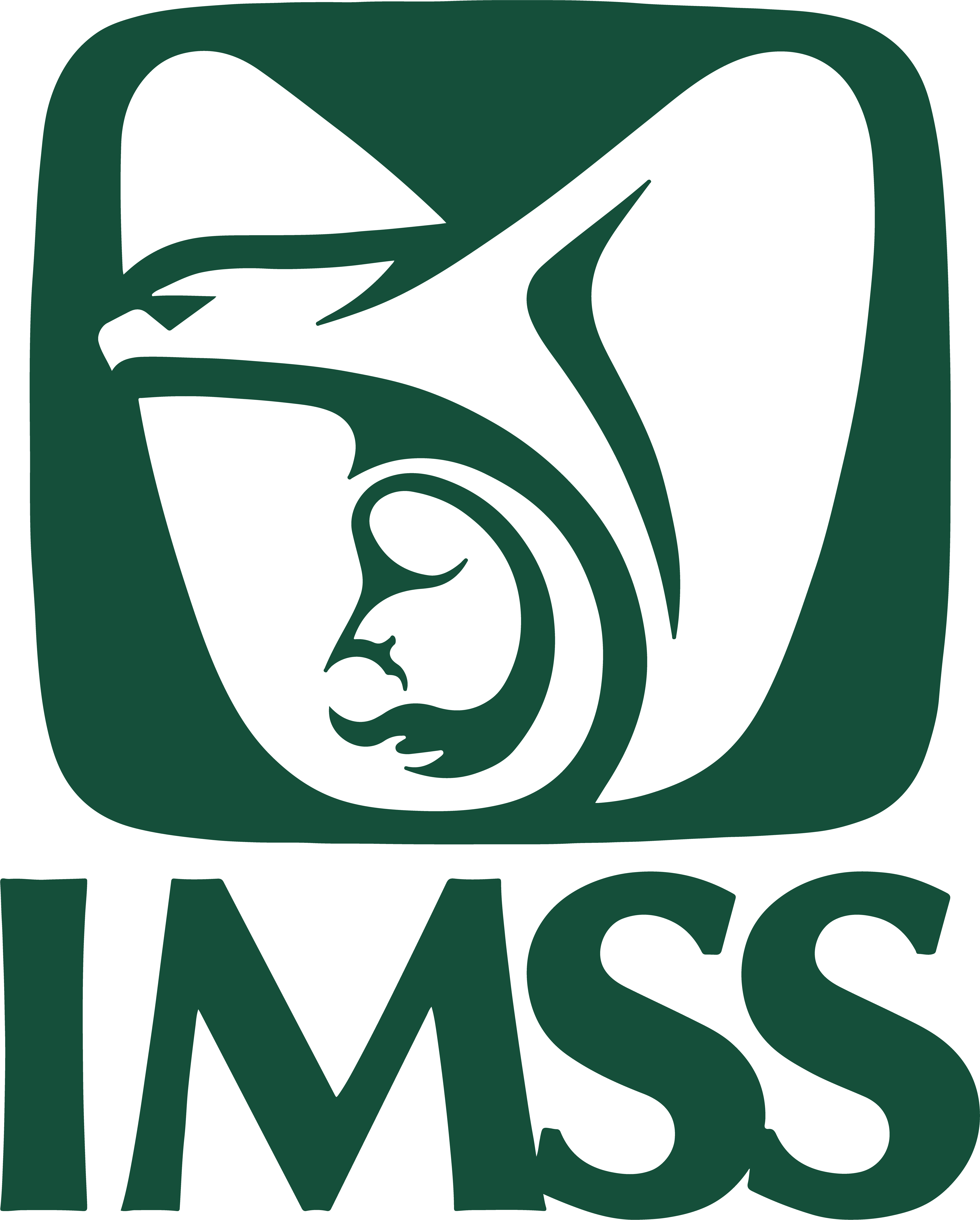 Certificación IMSS